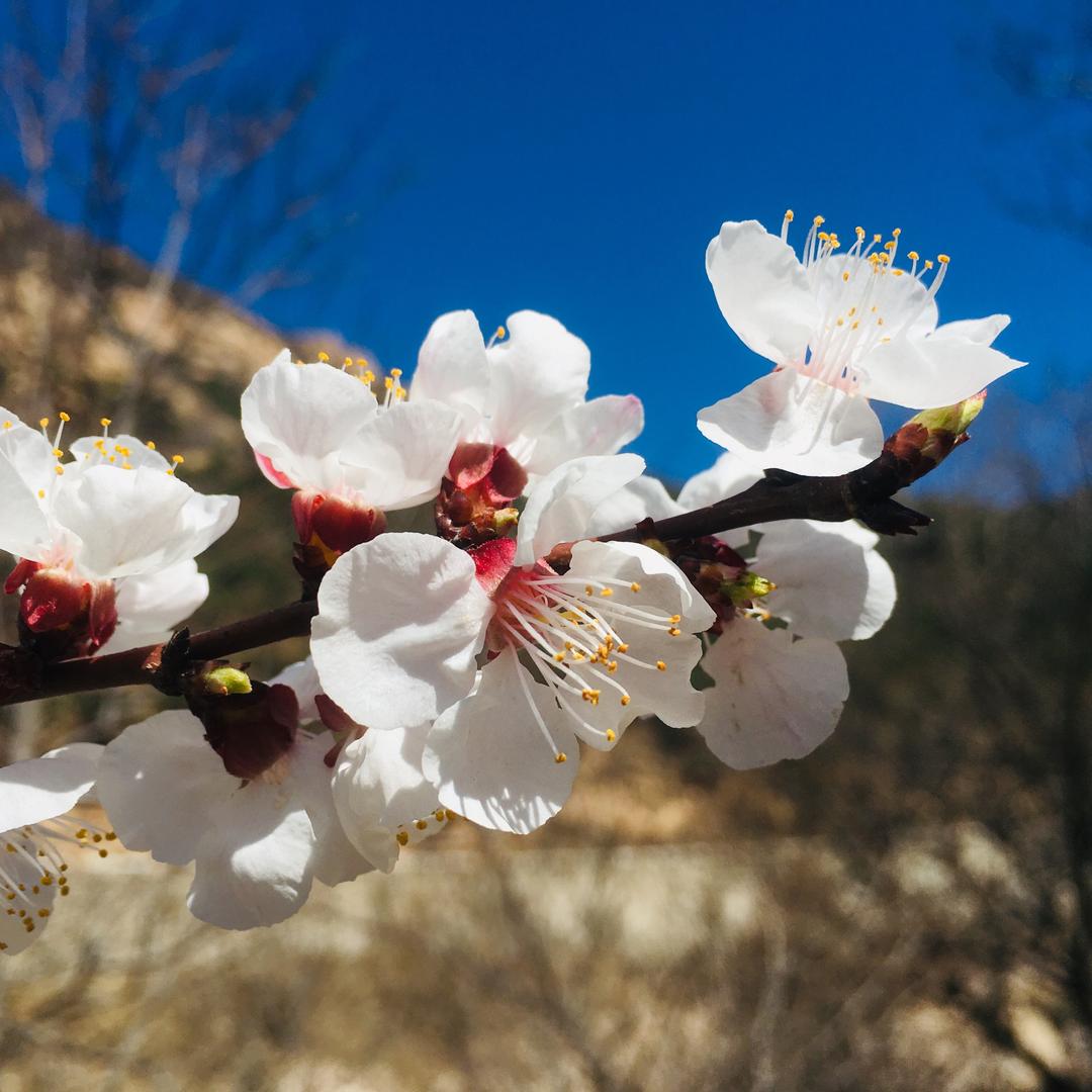 (ღゝ◡╹)ノ♡