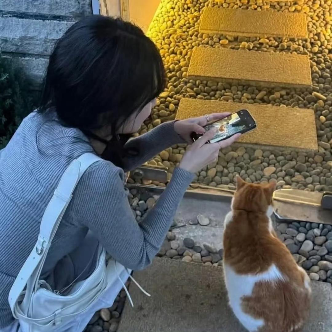 椰᳐椰᳐卷੭ﾞ