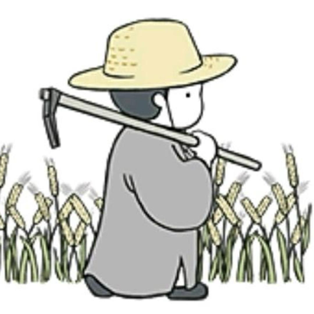 ㅤ    扛着锄头撬墙角💫