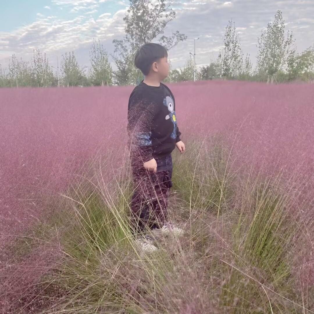 ꧁宇哥❤️晨弟꧂⁵²º