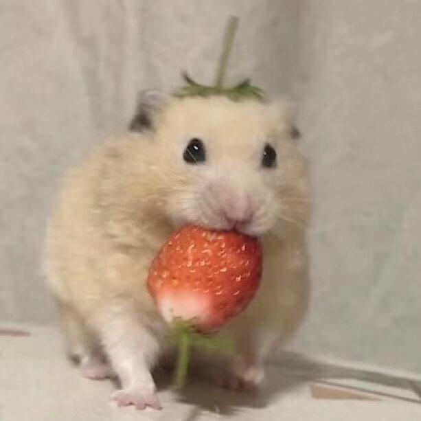 🍓进击的草莓装甲人🍓