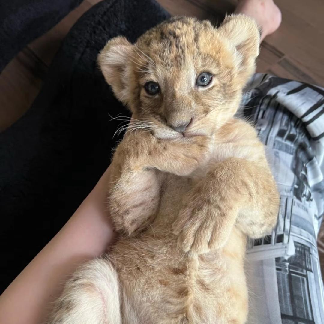 梦想是吃饱睡饱喝饱