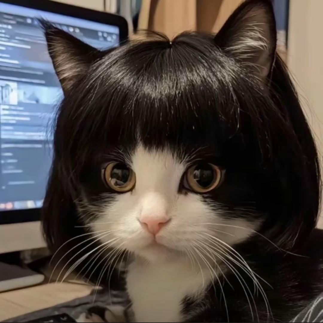 。。