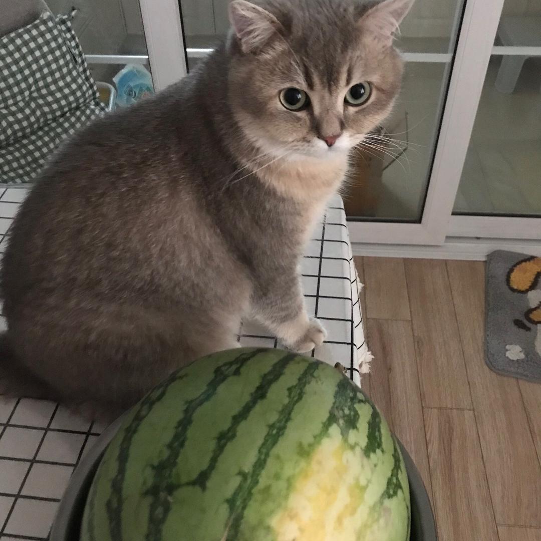 俞静