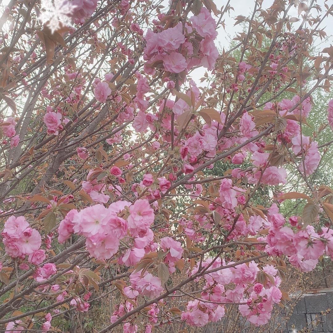 英姐