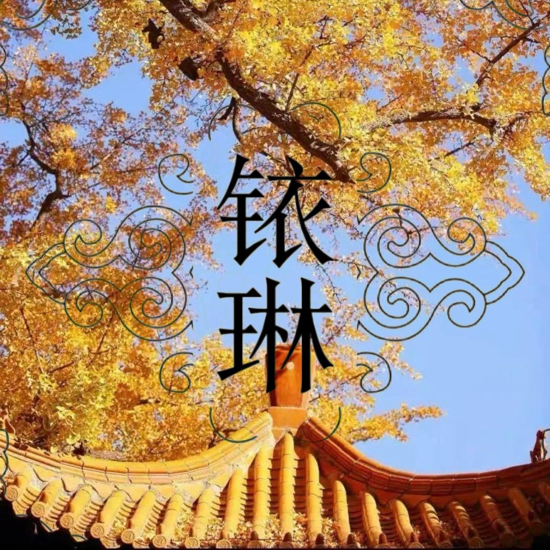铱琳-大咪的小屋