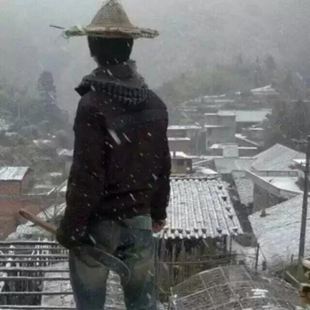 图图