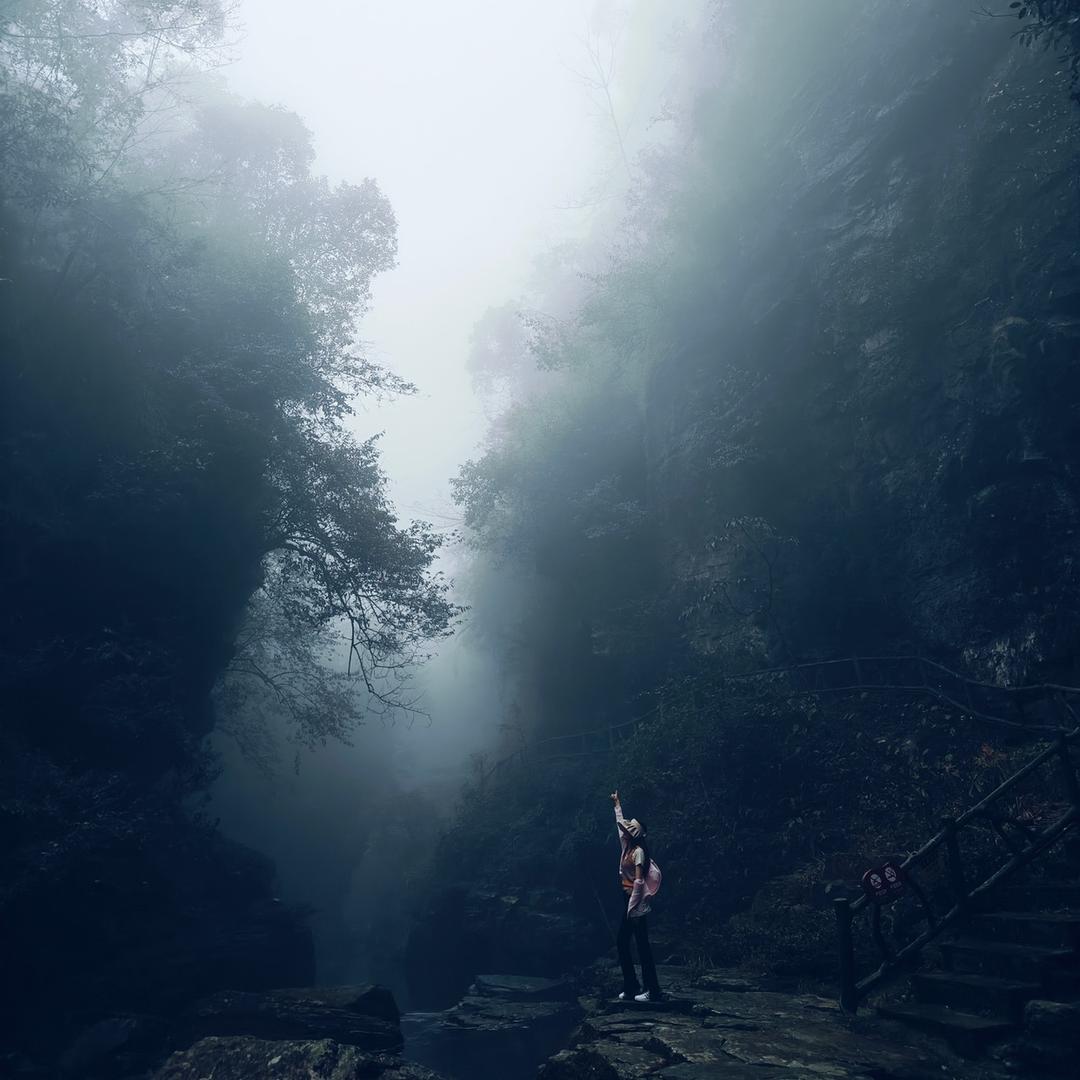 @白日梦😶‍🌫️