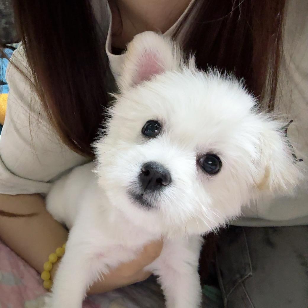 小乖不乖