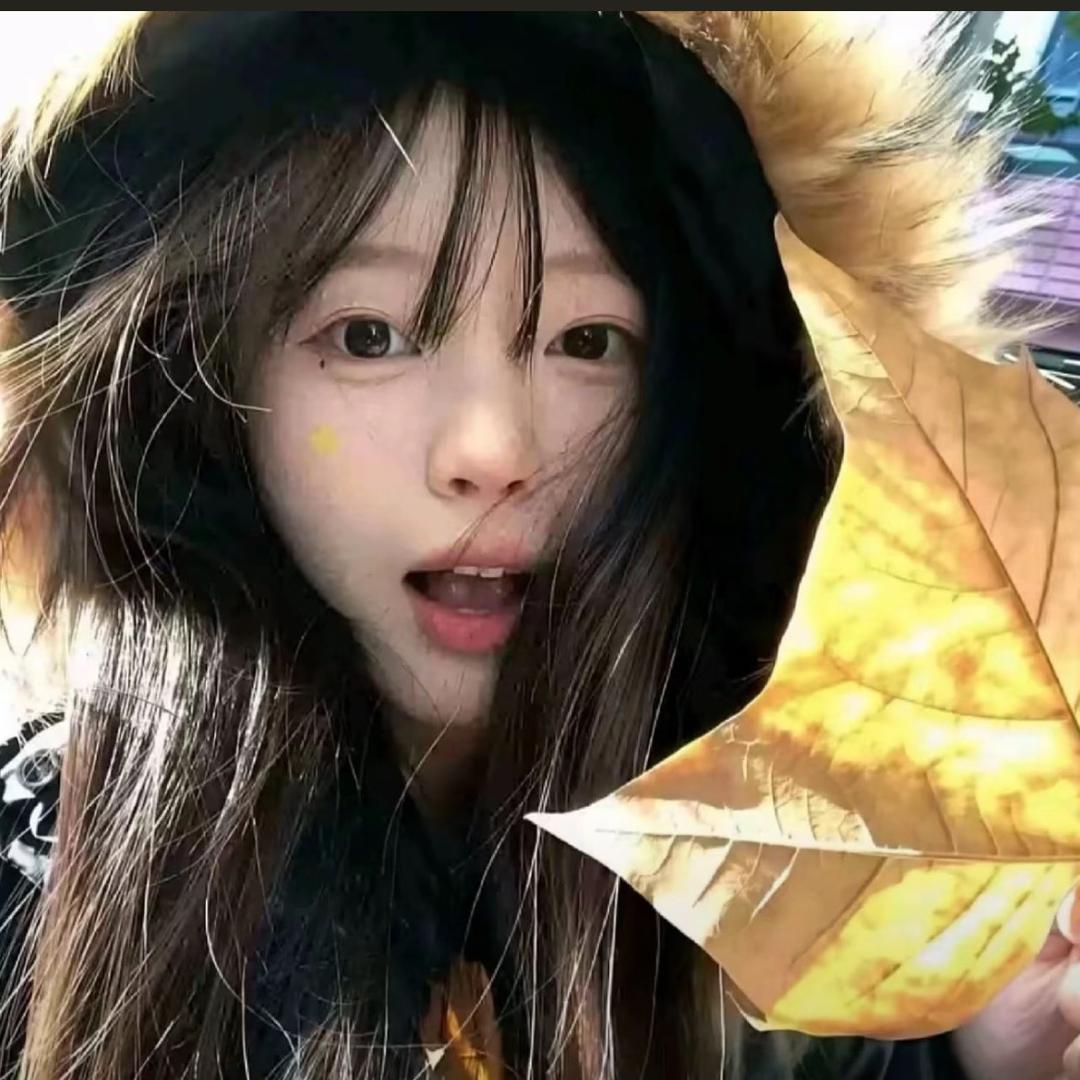 长的太萌被猛追十条街