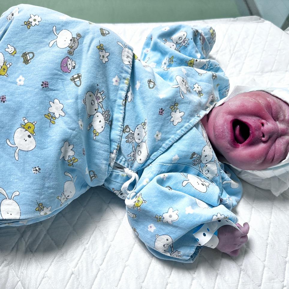 巴依老爷的日常