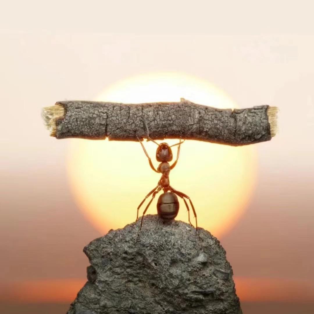 *ੈ✩‧₊˚ᴍᴏʀɴɪɴɢ🌞