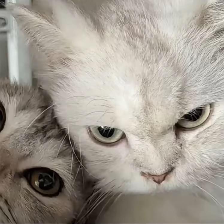 活着别让心遭罪