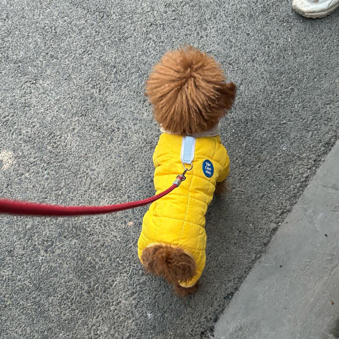 遇到搅拌机的菜椒