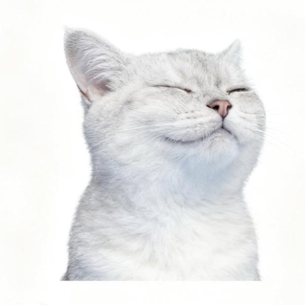 拉屎大王叫饼饼