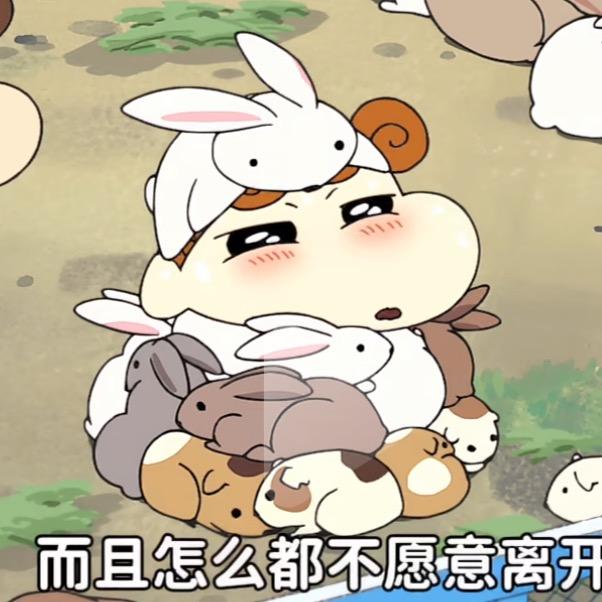 YB
