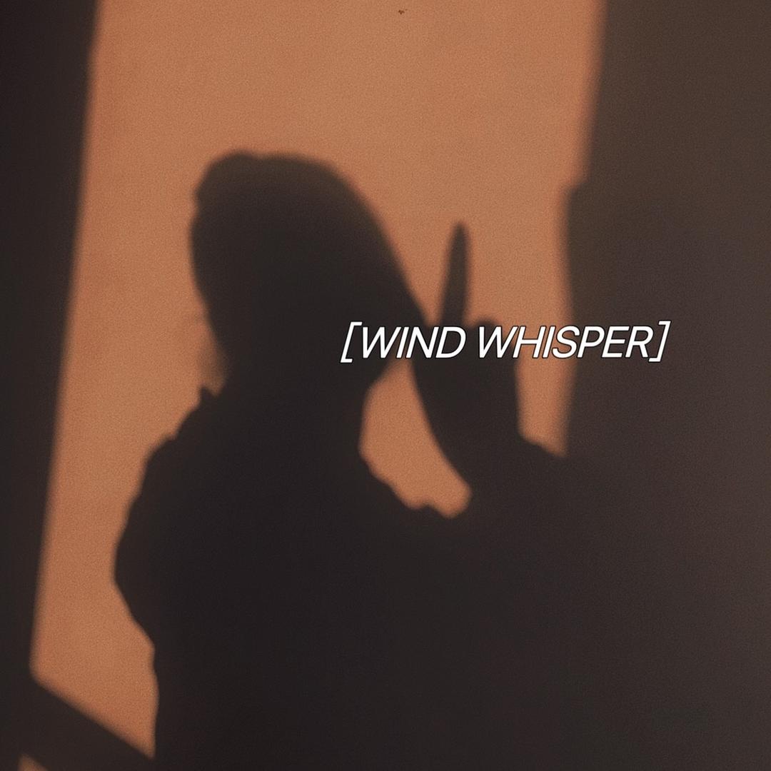 W阿南