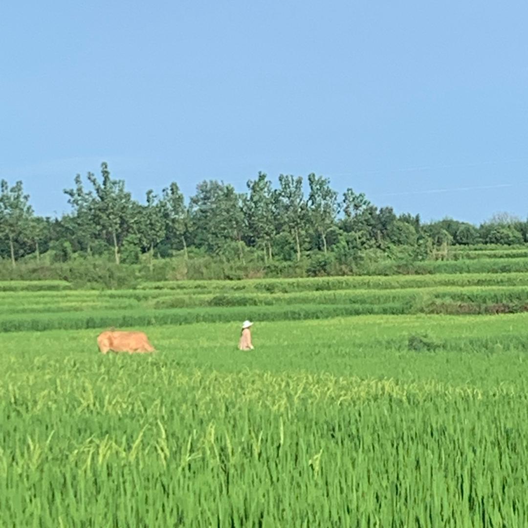 为自己拼个未来