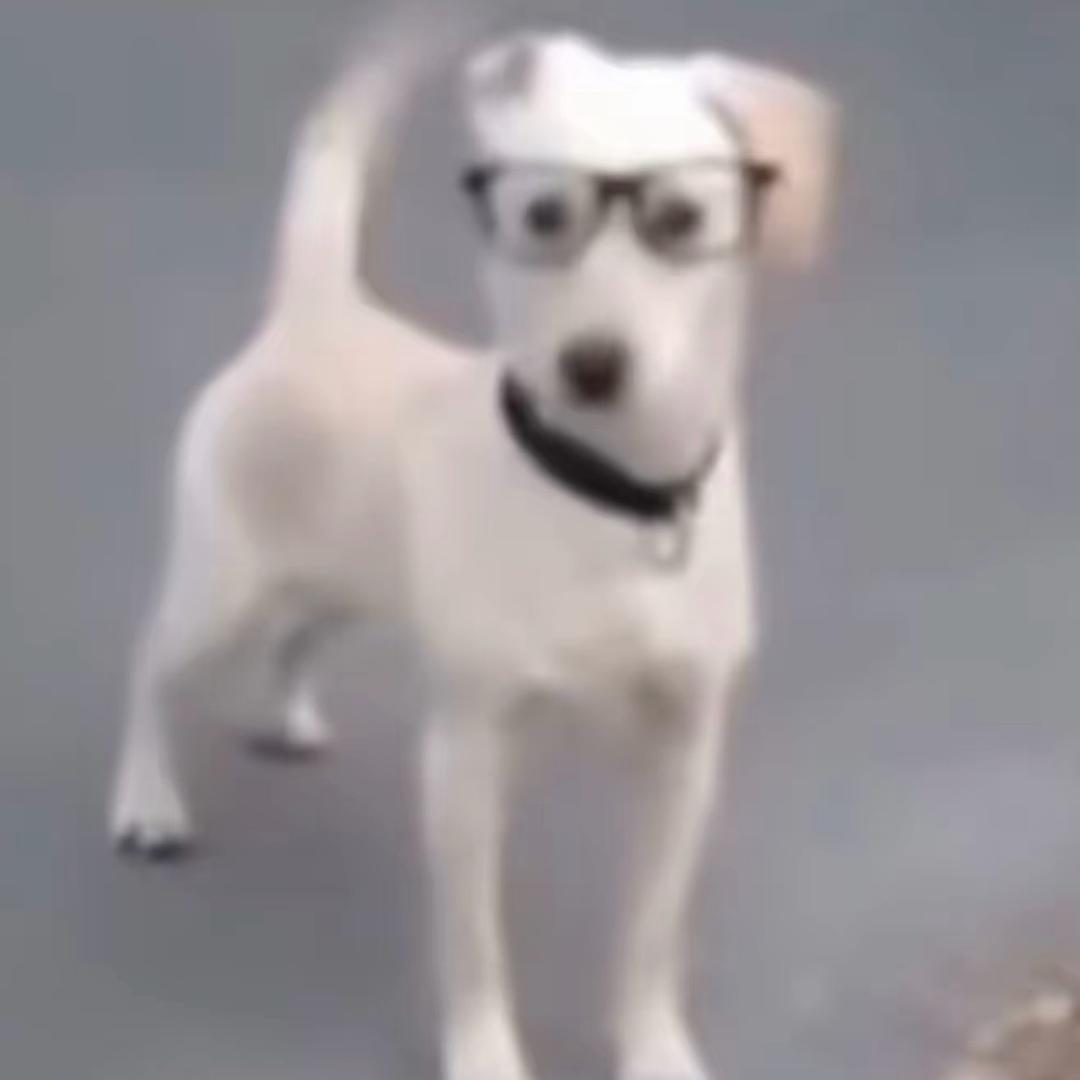 忧郁的纯情丫头