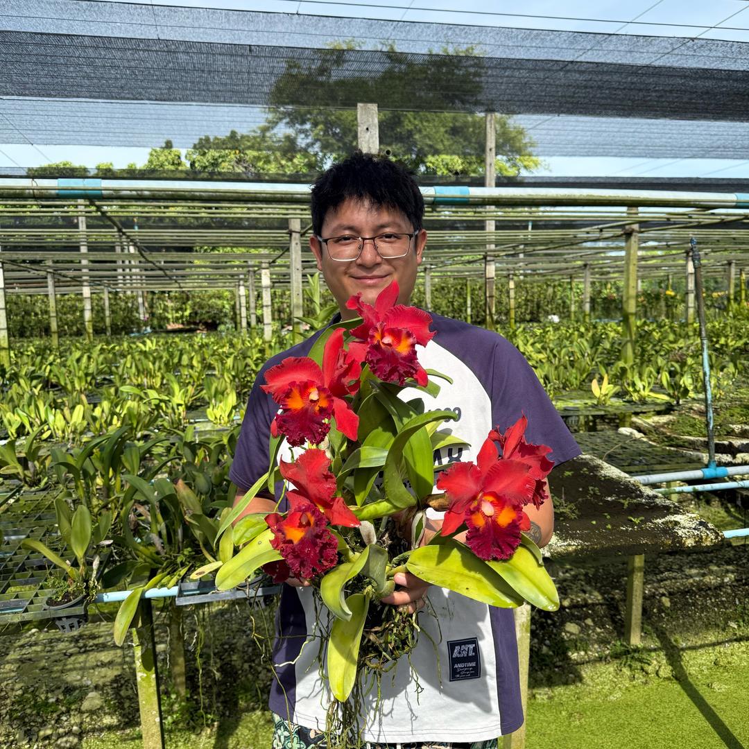 小宇在南诏枝下种花