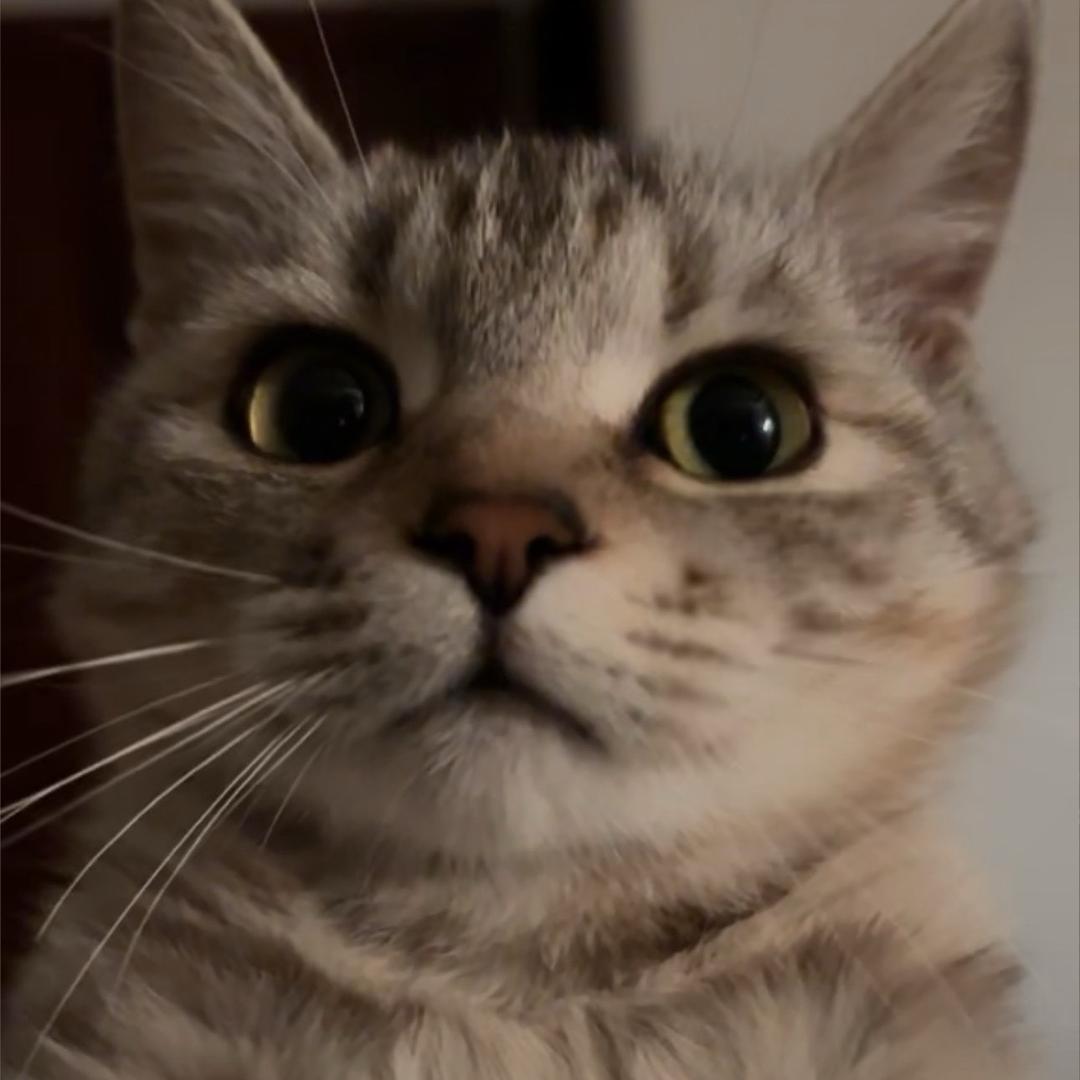 远距离