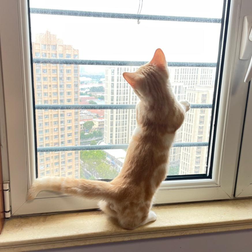 我是松子