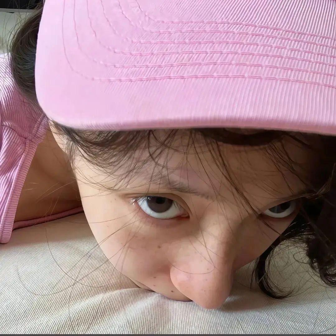 猫与树