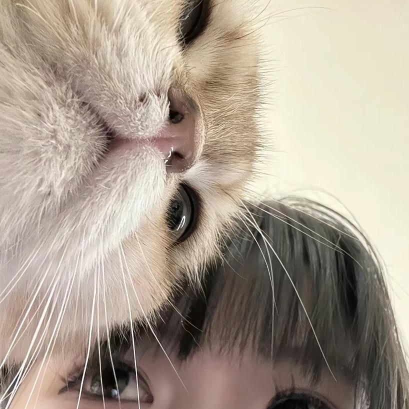 林淋临