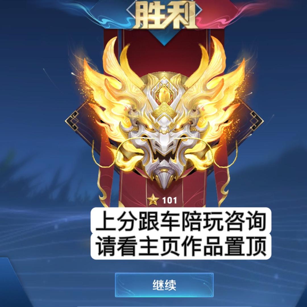 王者书源（国服陪玩车队）