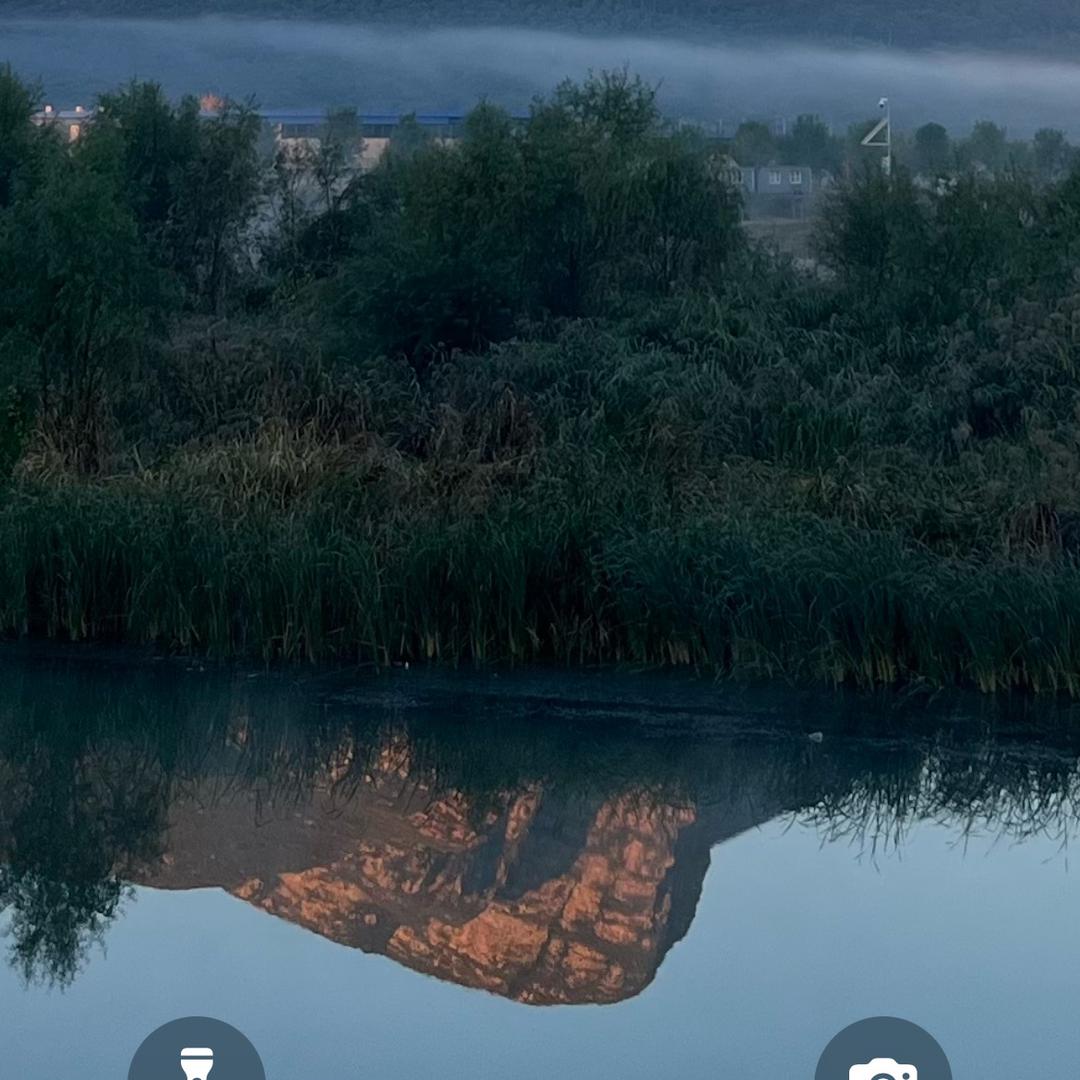 止一