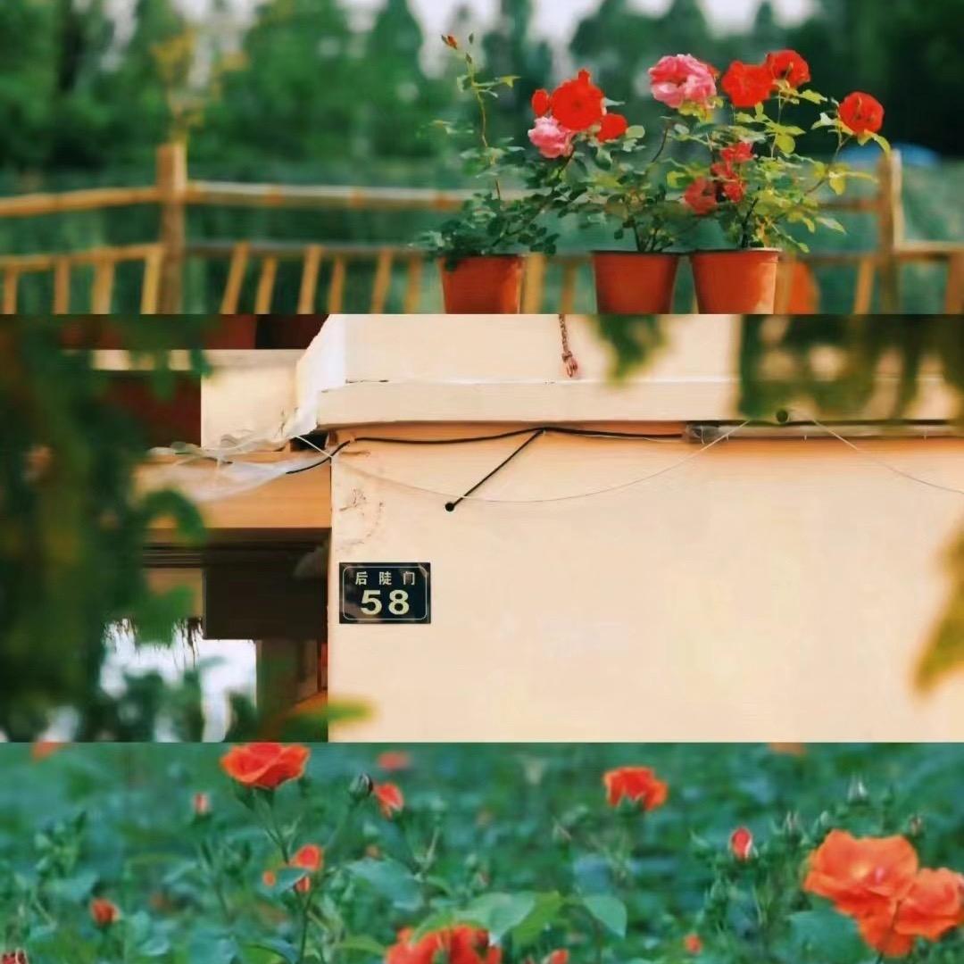 小李小李不讲道理