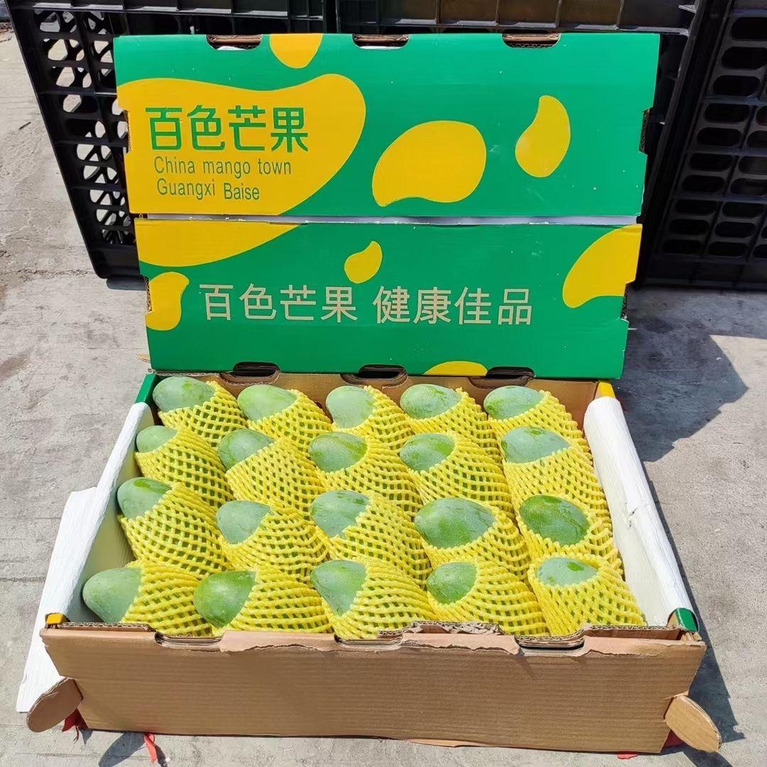 广西桂七芒果
