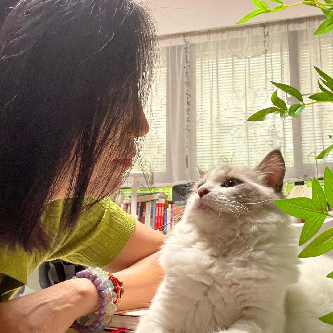 释馨漫语