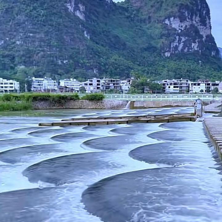 远方的弟弟