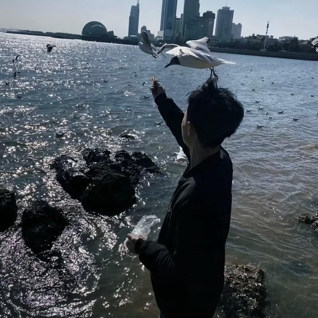 走马.