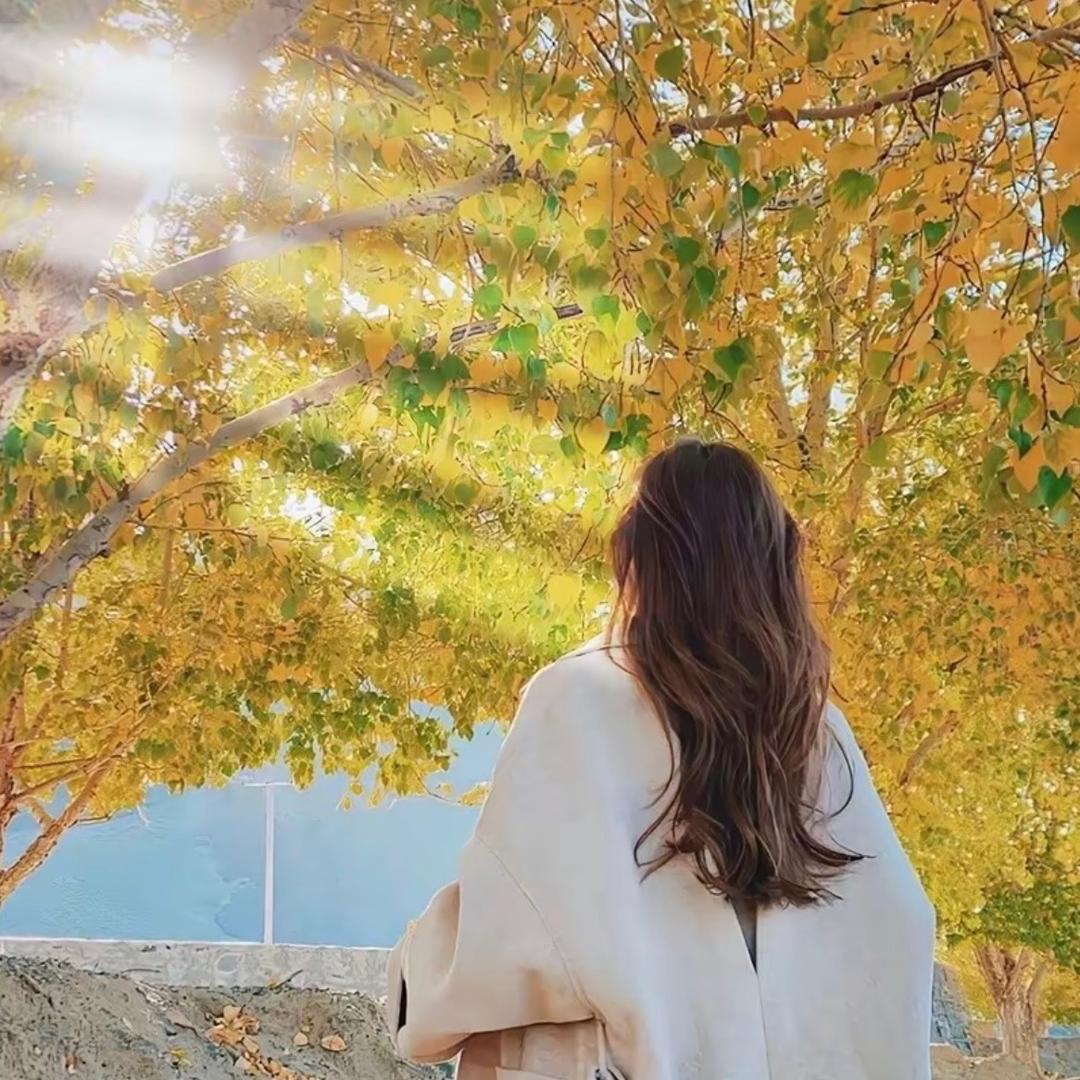 暖夏