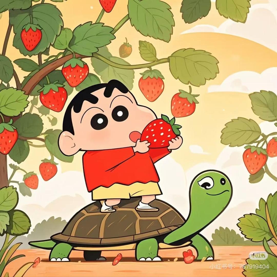 蜡笔小龟