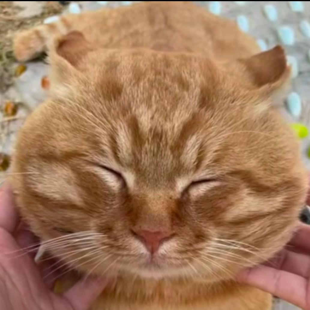 死嘴少sei点