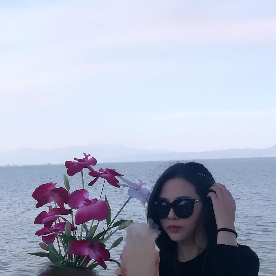 鲨短了短了短了短短