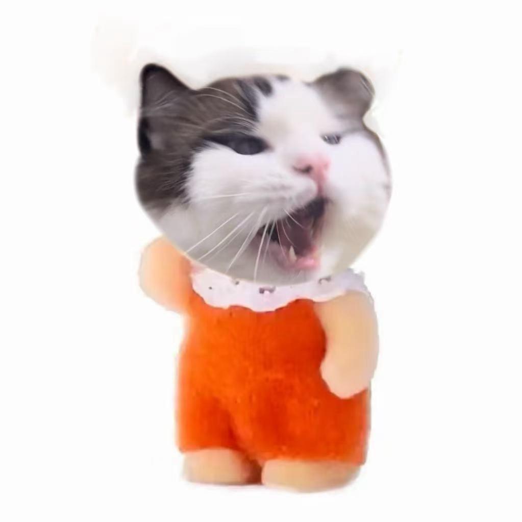 ˶᳐茶叶初˶᳐🍃