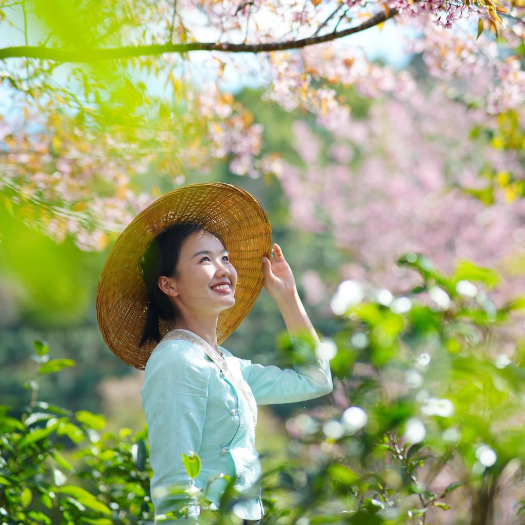 景迈山·寻味糯干🍃