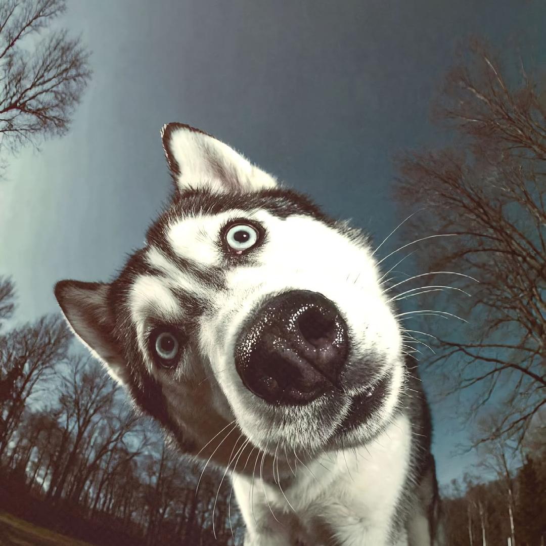 💎   愙歖   💎