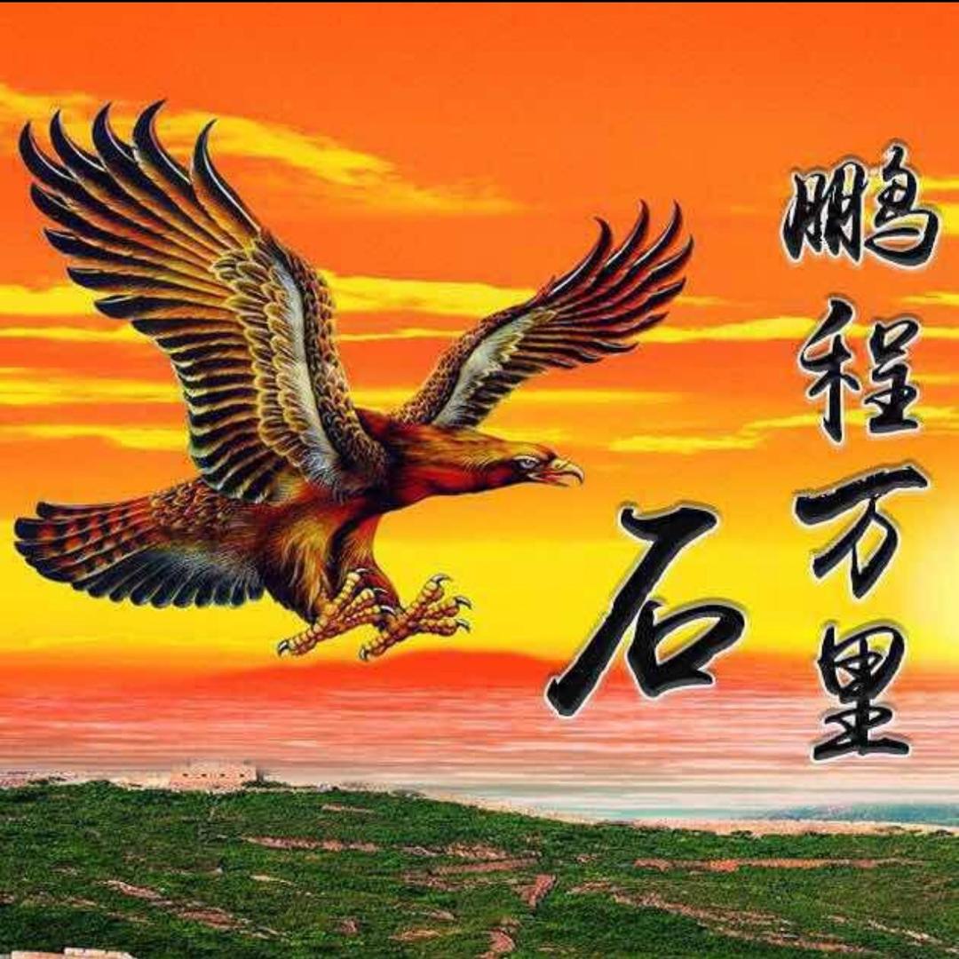 白术个片颗粒