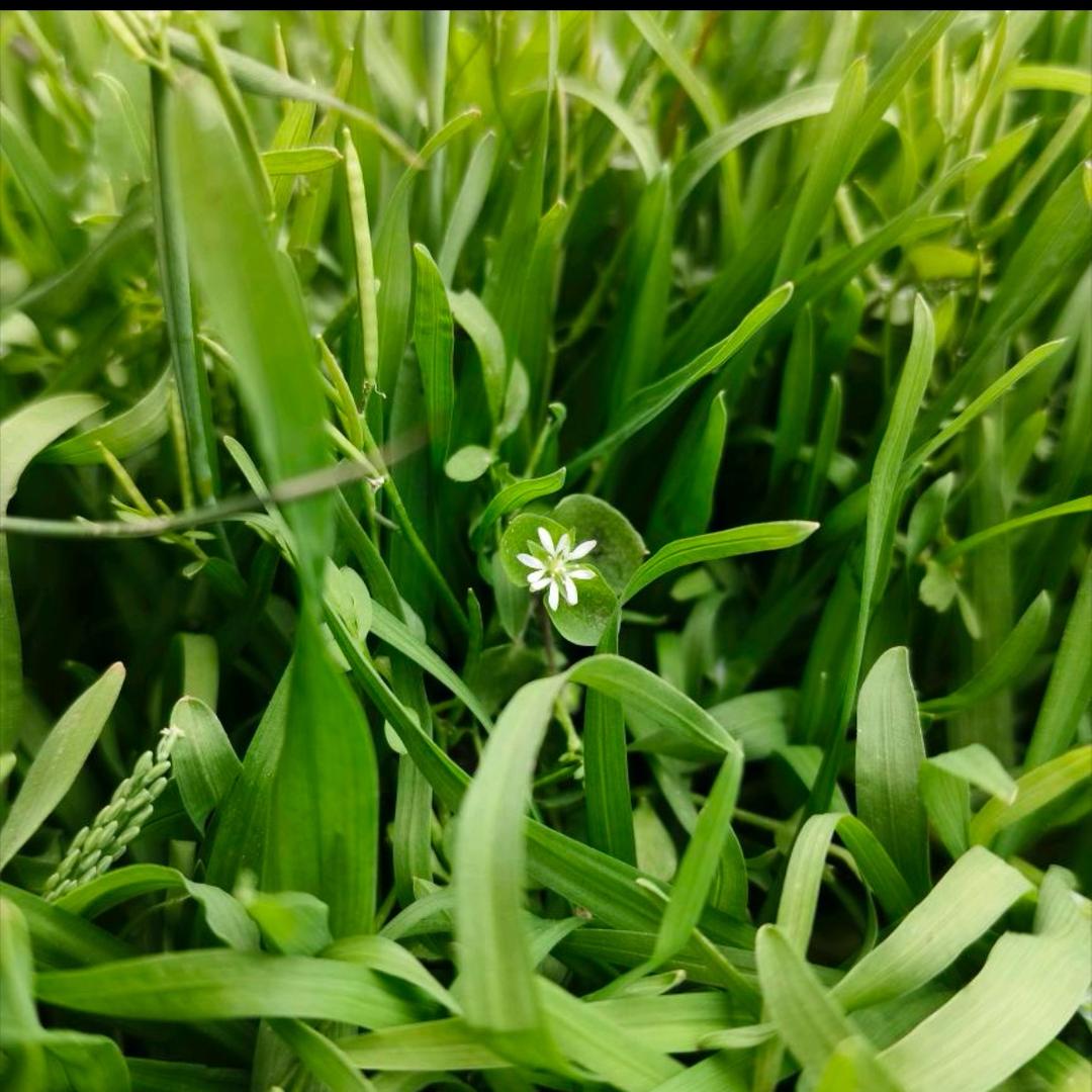 缘分