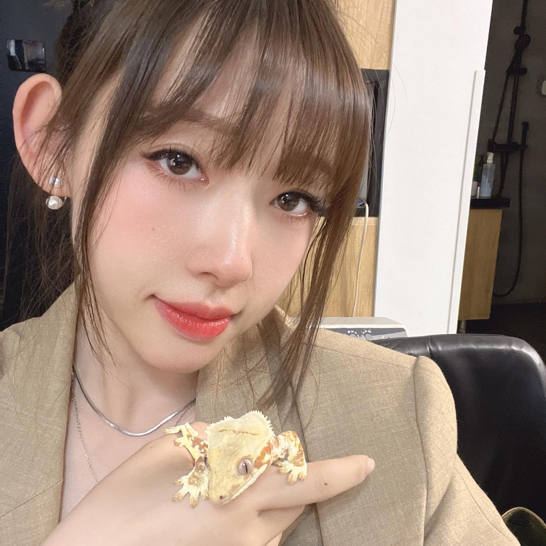 爬爬的白月光
