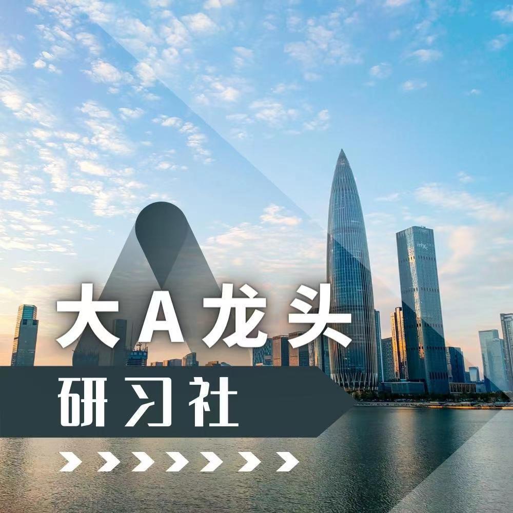 大A龙头研习社
