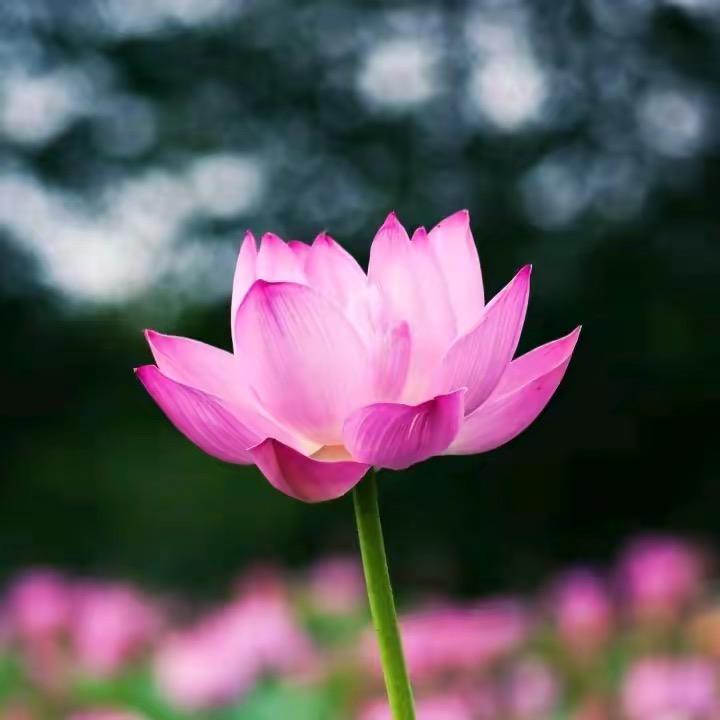 健康是福