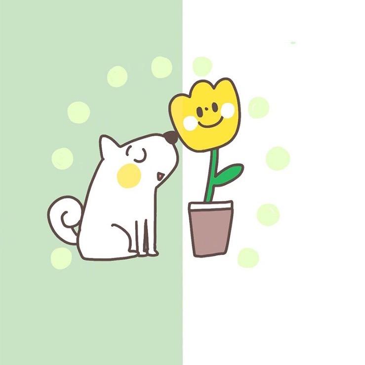 冰糖葫芦🍒