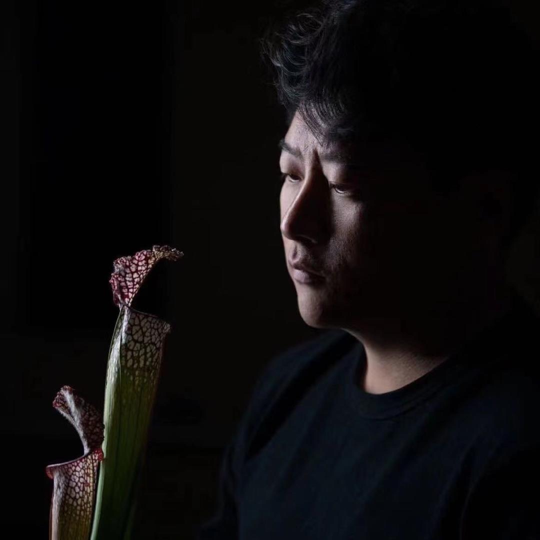 老王的神奇植物