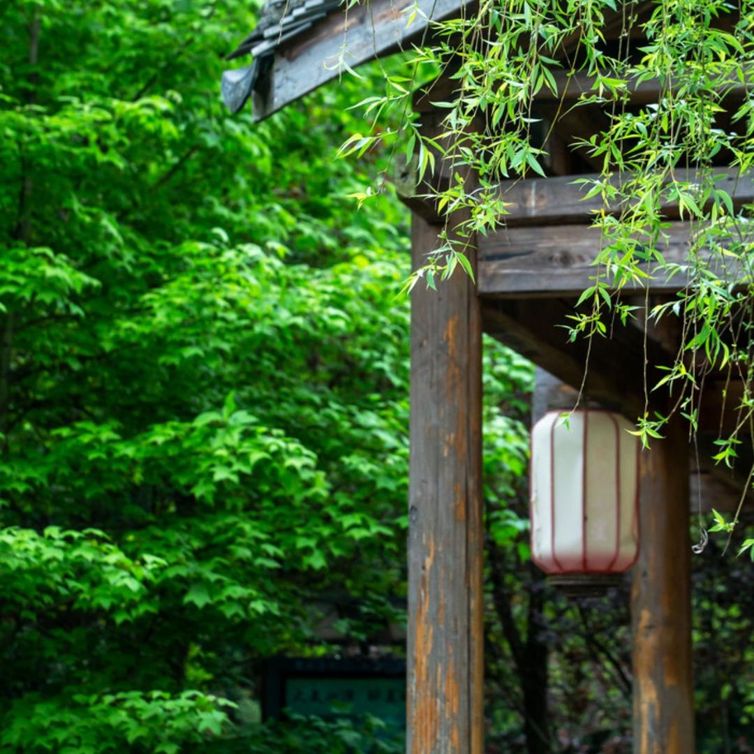 粉哥国学